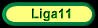 Liga11