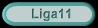 Liga11